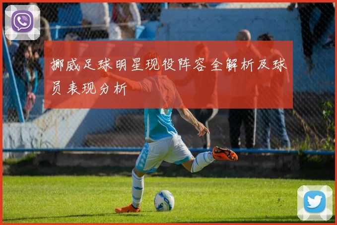 挪威足球明星现役阵容全解析及球员表现分析