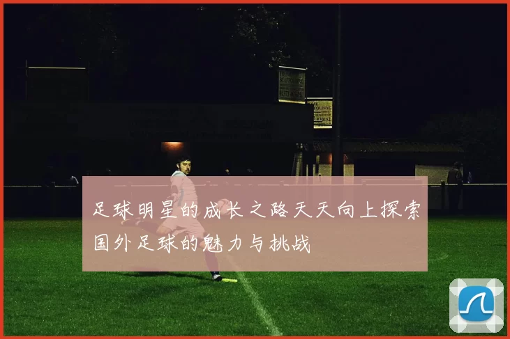 足球明星的成长之路天天向上探索国外足球的魅力与挑战